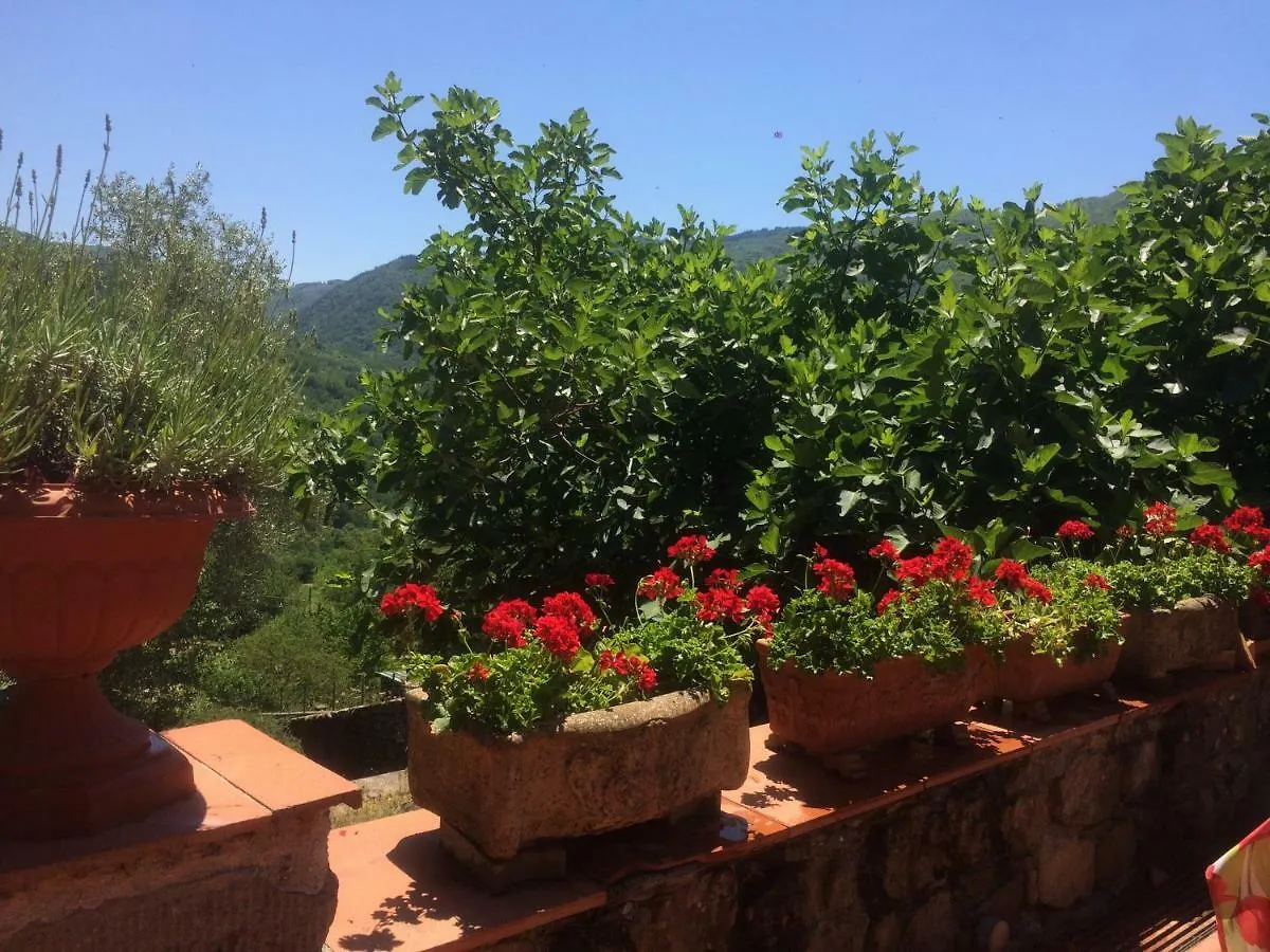 Casa Nicola, Large Country House With Pool Pistoia Holiday home